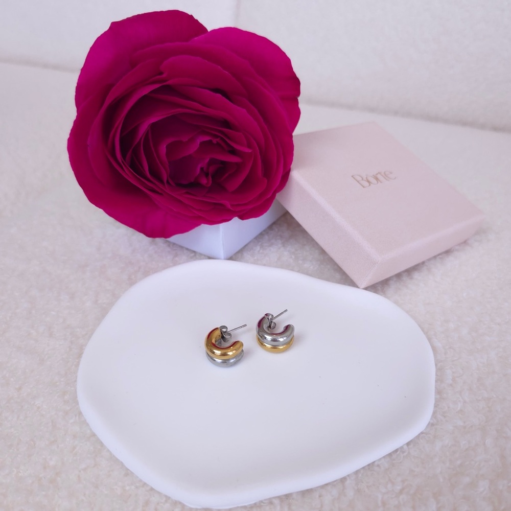 Elegant Two-Tone Earrings